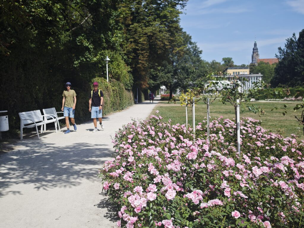 Rosengarten Coburg - die Parkanlage ist direkt von der Altstadt zu erreichen