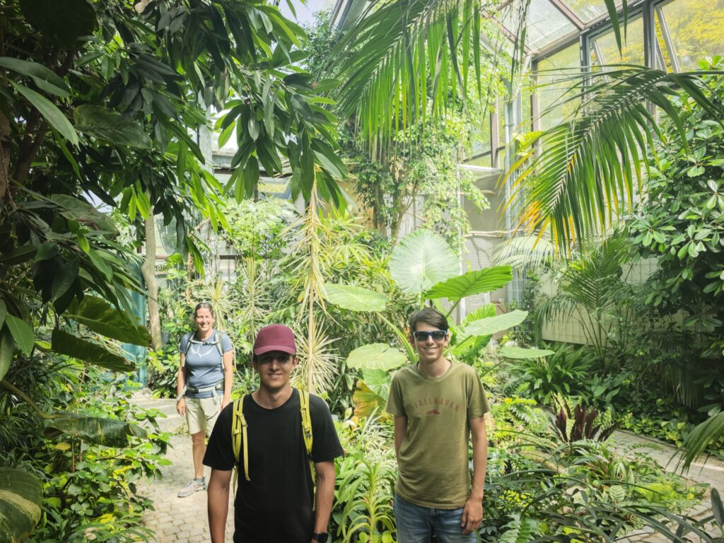 Das Palmenhaus im Rosengarten Coburg - sehenswert und kostenlos